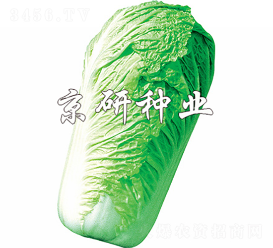 ������3̖-�ײ˷N��-���зN�I(y��)