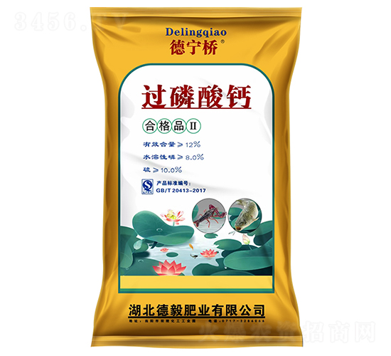 �����^(gu��)�����}-����ʘI(y��)