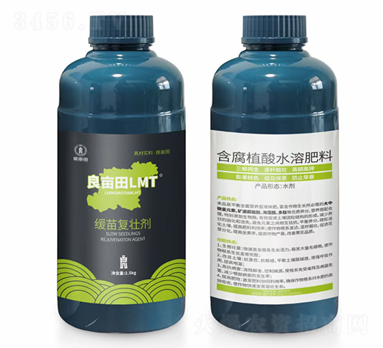 �����(f��)�ф�-������L(f��ng)MT-������