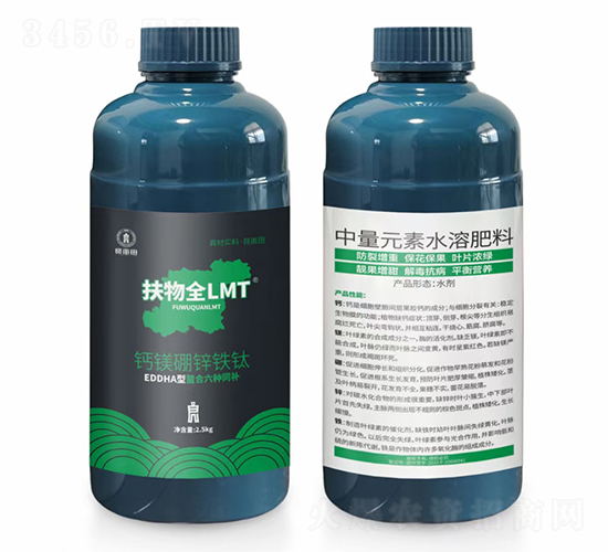 �}�V���\�F�-����ȫLMT-������