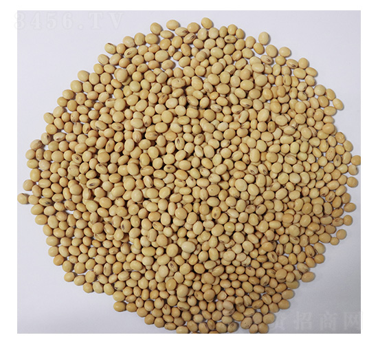 ���S61-�󶹷N��-���S�N�I(y��)