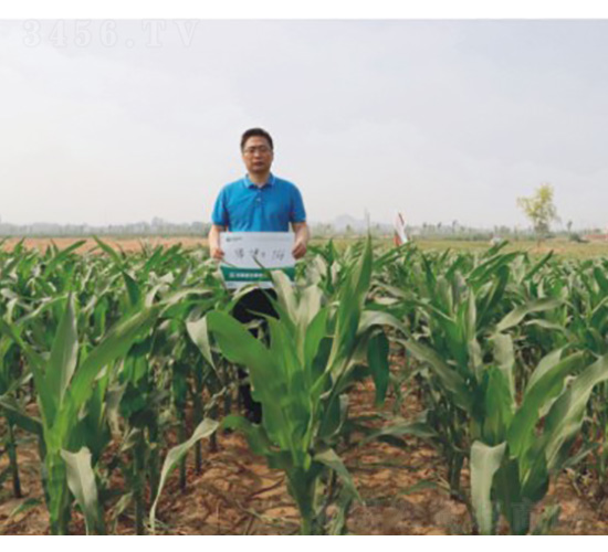 ����ʿ766-���׷N��-���S�N�I(y��)