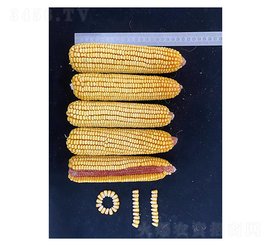 �߮a(ch��n)����-�͹��S