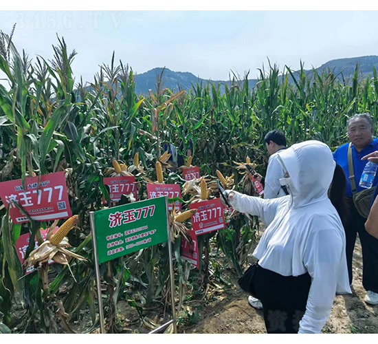 ��(j��)��777-���׷N��-�͹��S