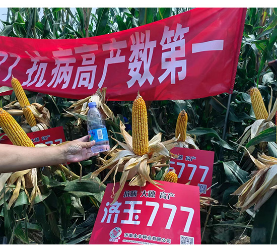 ����777-�͹��S