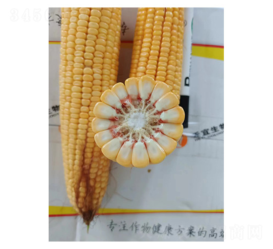 ����չʾ�D-�͹��S