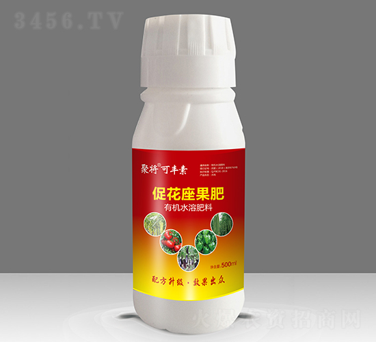 �ٻ�������-�ی����S��-�����A