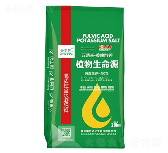 ���������S�����-������-ꖹ⻯��