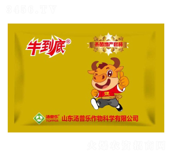 �������a(ch��n)�ײ�-ţ����-���՘�