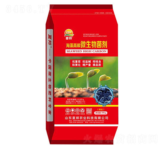 �����̼΢�������-�İ��r(n��ng)�I(y��)