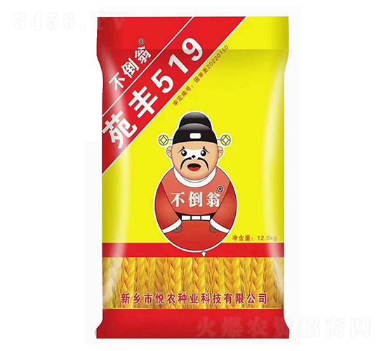 ���S519-С���N��-������