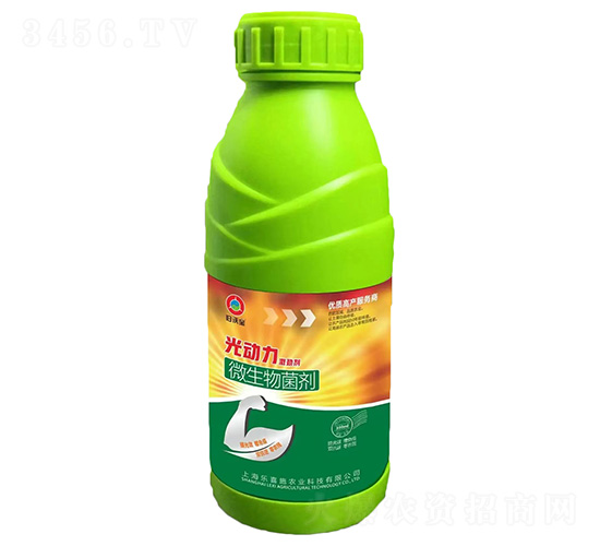 ��������ń�-�w�֌�-��ϲʩ