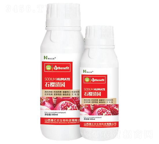 ʯ����@-�����|�r(n��ng)