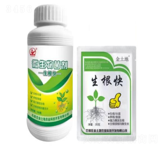 ������-������-�õ���