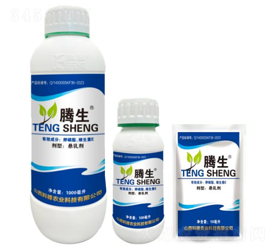 ����֬���S����E-�v��-�õ���