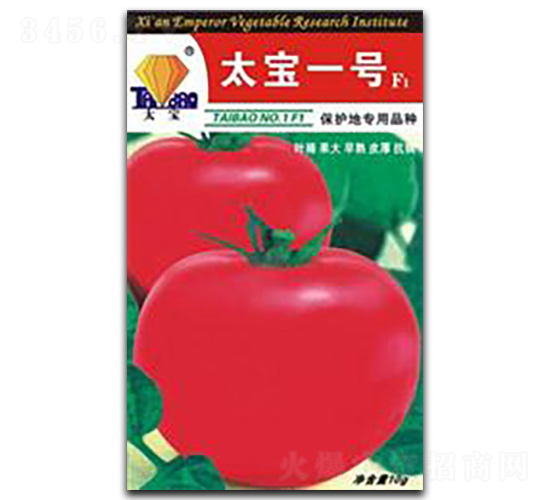 ̫��һ̖-���ѷN��-�|ʥ