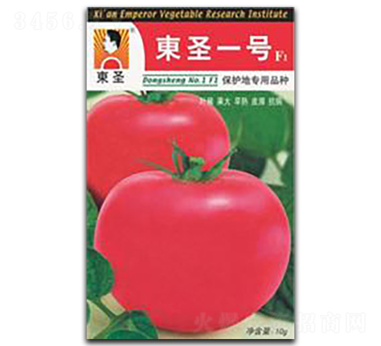 �|ʥһ̖-���ѷN��-�|ʥ