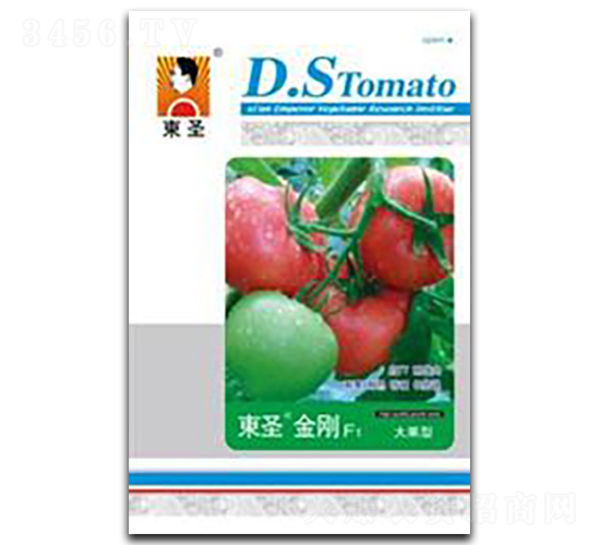 �|ʥ����-���ѷN��-�|ʥ