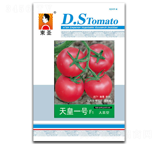 ���һ̖(h��o)-���ѷN��-�|ʥ