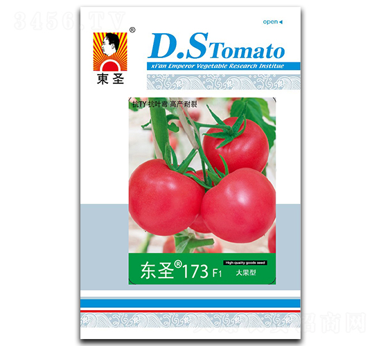 �|ʥ173-���ѷN��-�|ʥ