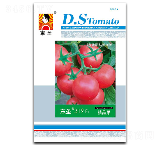 �|ʥ319-���ѷN��-�|ʥ