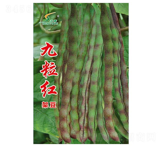 �����t�ܶ�-�ܶ��N��-�S�A�N�I(y��)