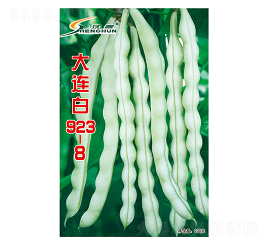 ���B��923-8-�ܶ��N��-�S�A�N�I(y��)