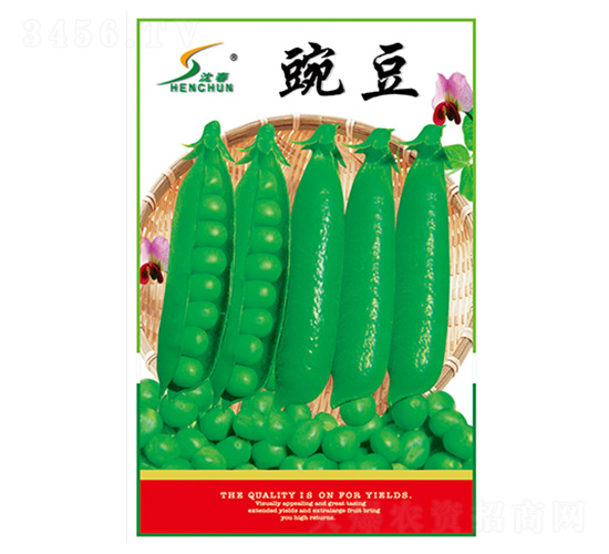 ���㶹�N��-�S�A�N�I(y��)