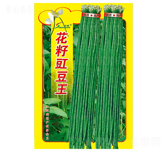 ����������-�����N��-�S�A�N�I(y��)