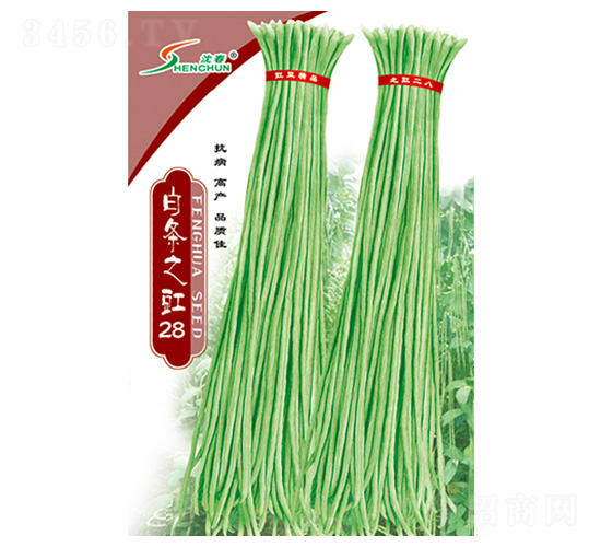 �חl֮��28-�����N��-�S�A�N�I(y��)