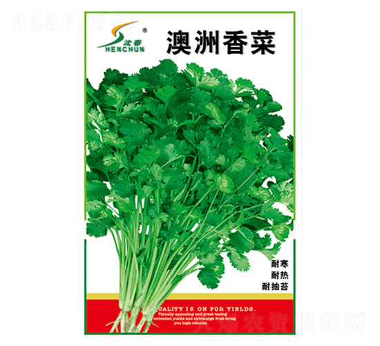 �������-��˷N��-�S�A�N�I(y��)