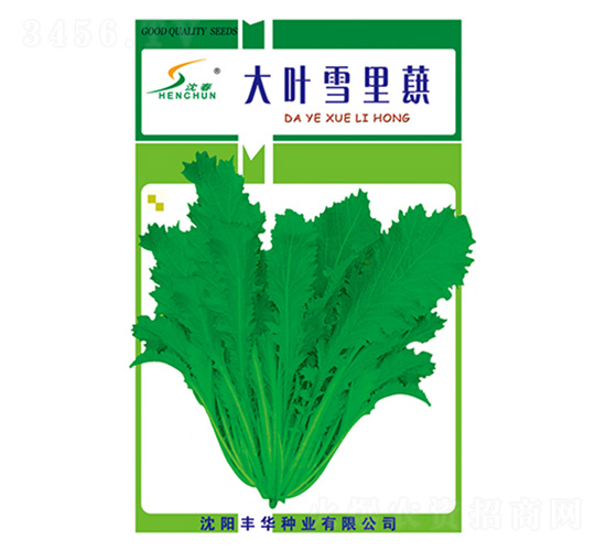 ���~ѩ��ޮ-ѩ��ޮ�N��-�S�A�N�I(y��)