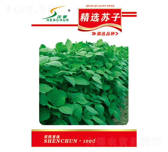 �򴺾��x�K�ӷN��-�S�A�N�I(y��)