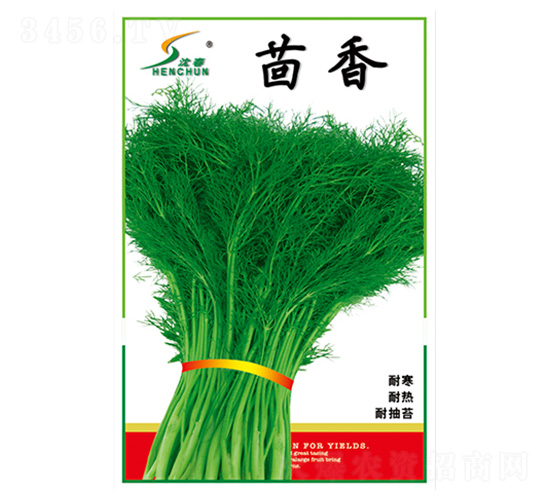 ������N��-�S�A�N�I(y��)