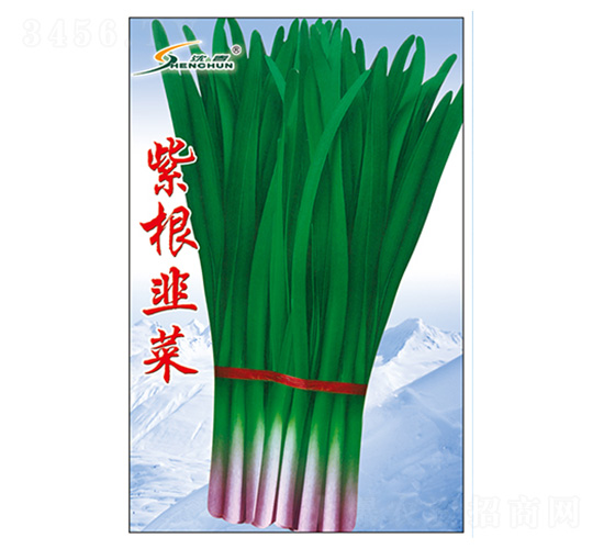 �ϸ��²�-�²˷N��-�S�A�N�I(y��)