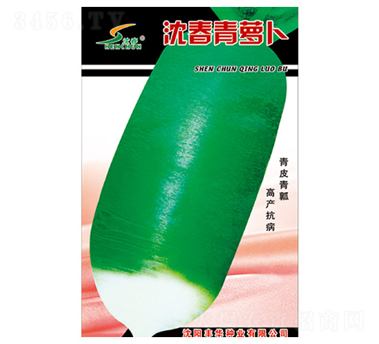 �����}��-�}���N��-�S�A�N�I(y��)