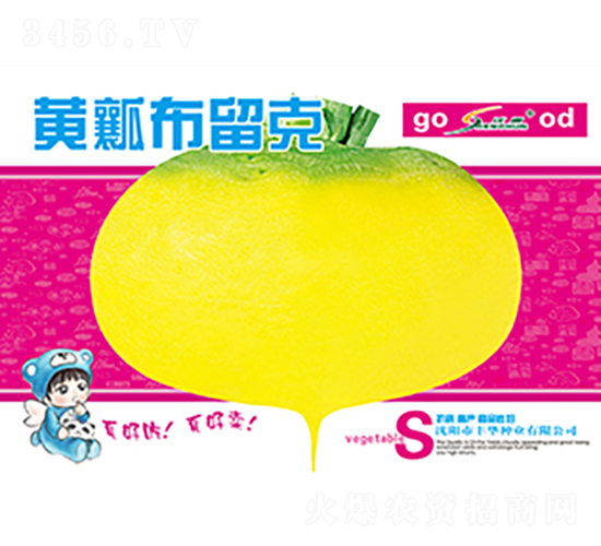 �Sȿ������-�}���N��-�S�A�N�I(y��)