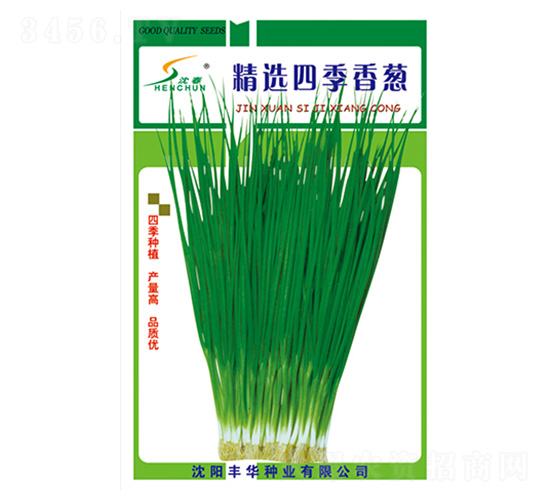 ���x�ļ����[-���[�N��-�S�A�N�I(y��)