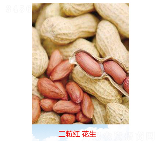 �����t����-�����N��-�S�A�N�I(y��)