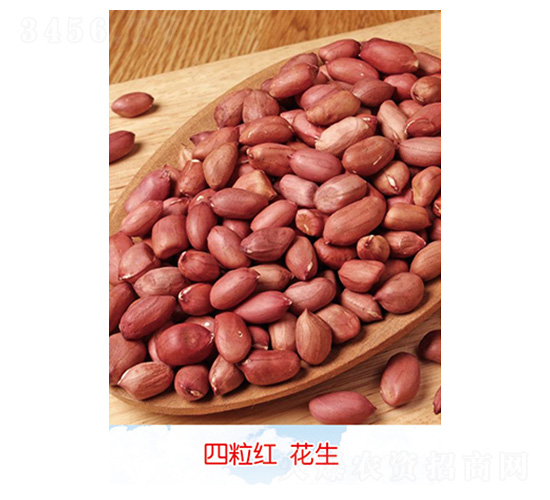 �����t����-�����N��-�S�A�N�I(y��)