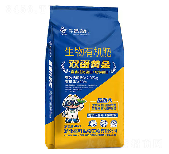 �p���S�������ЙC��-�в�ʢ��-ʢ������