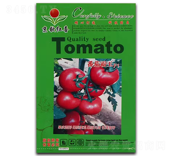 ���t���N��-���Ѱ���F1-���J�tϲ