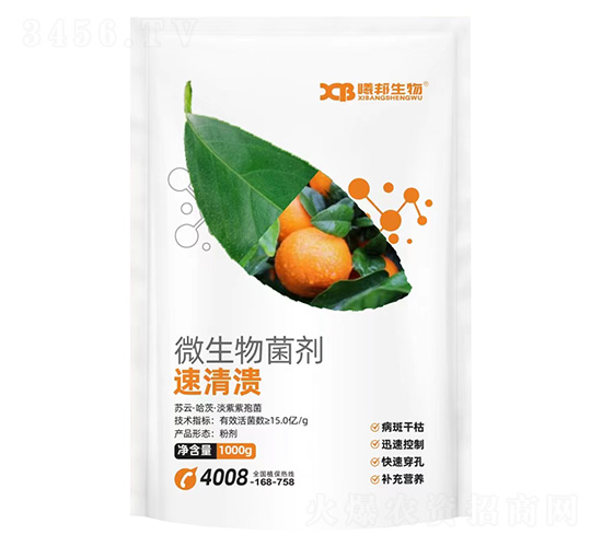 ΢�������-���坢-�ذ�����