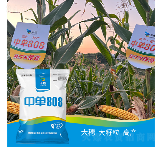 �І�808-���׷N��-�S�ȸ߿�