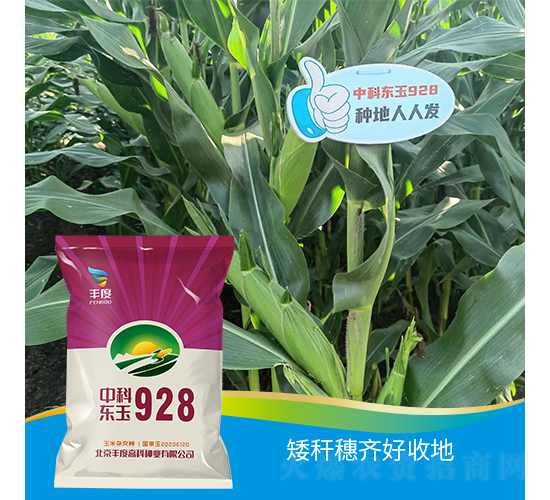 �пƖ|��928-���׷N��-�S�ȸ߿�