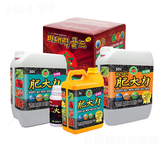 �ʴ���-��(��i)����