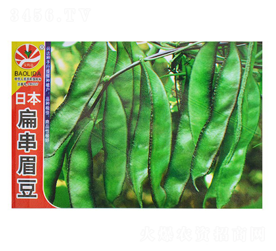 �ձ��⴮ü��-�ⶹ�N��