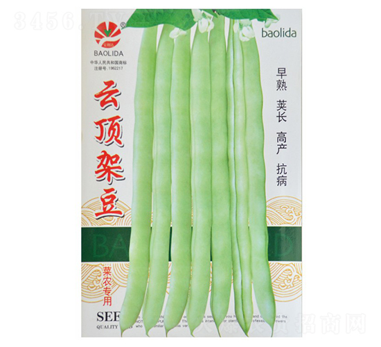 ��피ܶ�-�ܶ��N��