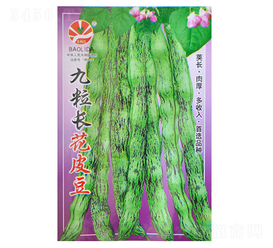 �����L��Ƥ��-�ܶ��N��