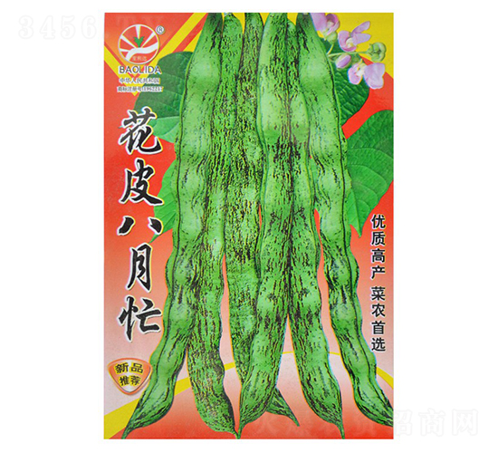 ��Ƥ����æ-�ܶ��N��